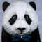 Crafting Spark Panda with Bow Tie Diamond Painting Kit